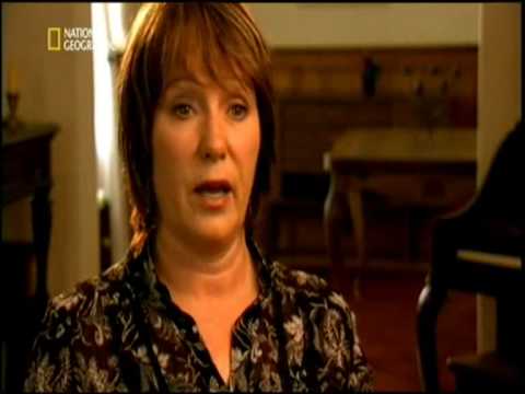 mayday alarm im cockpit - Ein Jet im Gleitflug Teil 4