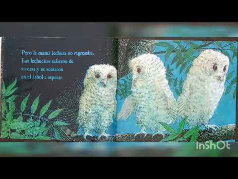 CUENTO PARA NIÑOS "LAS LECHUCITAS" DE MARTIN WADDELL