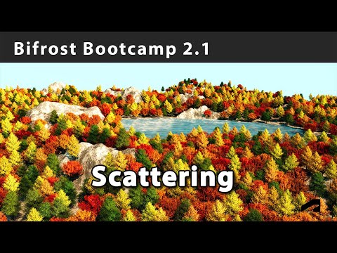 Bifrost Bootcamp 2.1 - Intro to scattering