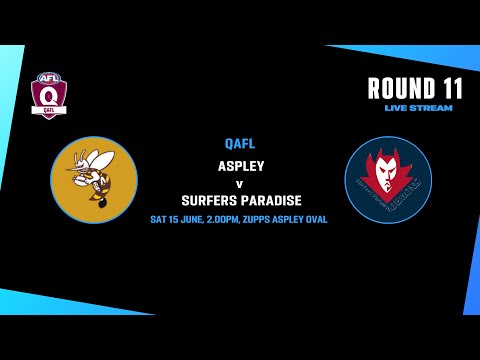 LIVE QAFL ROUND 11 - Aspley v Surfers Paradise