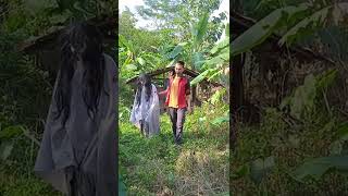 Download lagu BAWA PULANG KUNTILANAK YG DI PAKU JADI MANUSIA #SHORT mp3