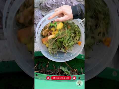 Kompost richtig anlegen: In 3 Schritten zu wertvollem Humus im Naturgarten