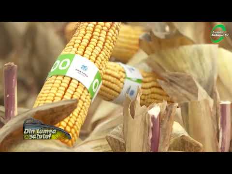 Emisiunea "Din lumea satului" - 14 decembrie 2025