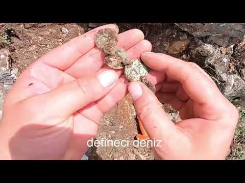 Kasayı Kırdım Akrep Saldırdı Definesini Aldım !!!