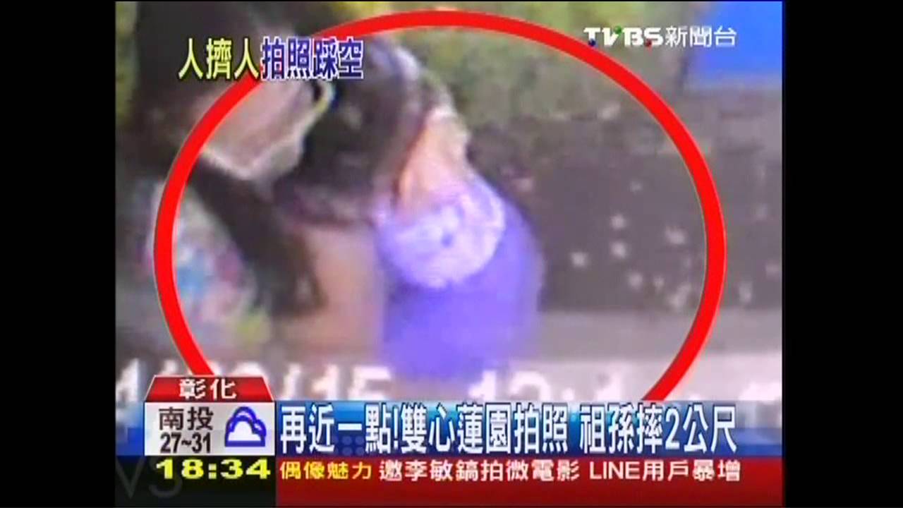 再近一點!雙心蓮園拍照 祖孫摔2公尺