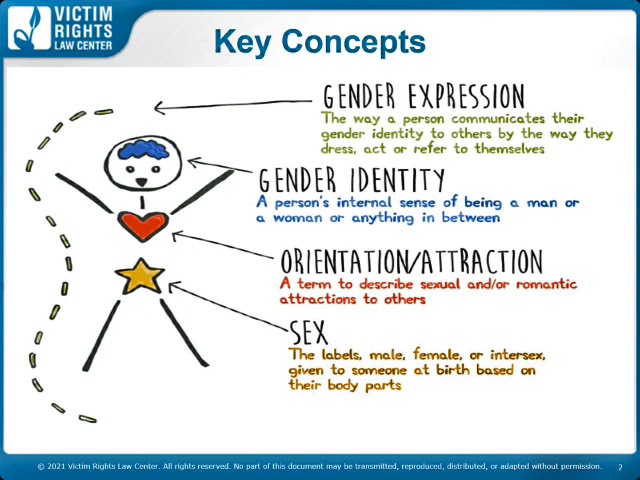 Increasing LGBTQ+ Youth Survivors’ Access to Services (April 2021)