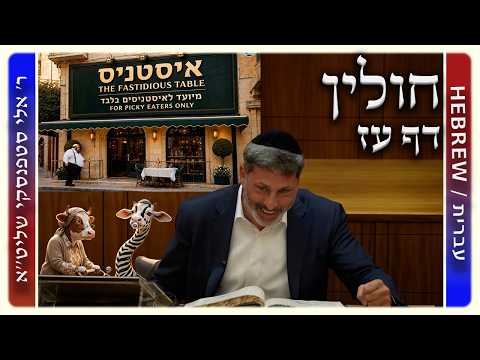 מרכז דף יומי - חולין דף עז. - ר' אלי סטפנסקי שליט"א