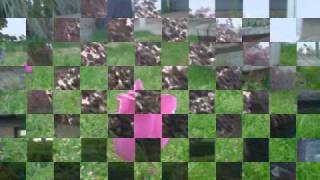 Everything Is Beautiful ~ Starfield