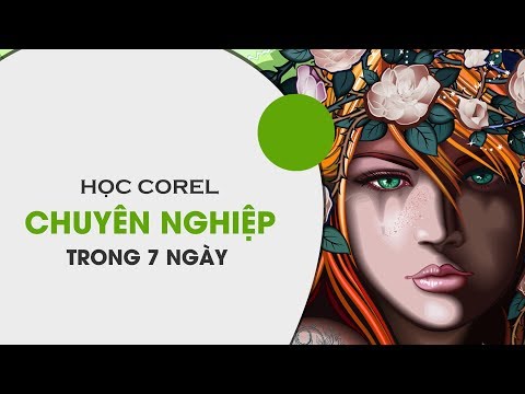 Chèn ảnh vào Corel chỉ với 3 bước đơn giản, nhanh chóng 