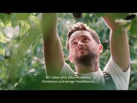 Jungbauer mit Visionen | Steinobst aus Südtirol