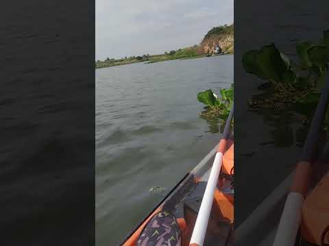 pescaria de tucunaré terra rica Paraná