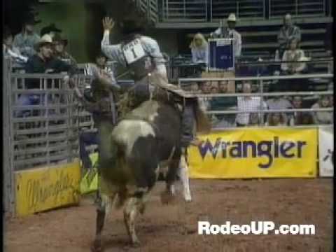 Bull Riding Bullmania - Alligator