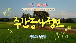 [ 주간농사정보 ] 5월 4째주 (2025. 05. 26. ~ 06. 01.)