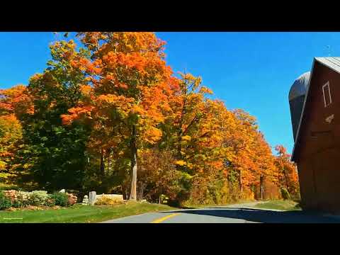 Scenic Drive With Peak Autumn Foliage In Vermont
