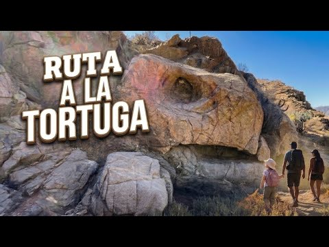 Piedra de la Tortuga 🐢| Freirina, Atacama