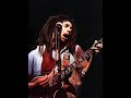 Bob Marley Tour Exodus 77 Get Up Stand Up Exodus HD