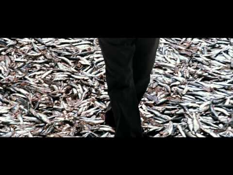 Terraferma – Trailer en español HD