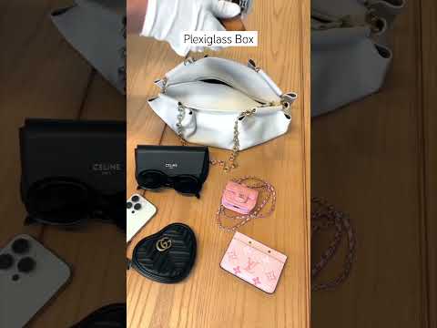 What fits inside the Loewe Paseo bag?