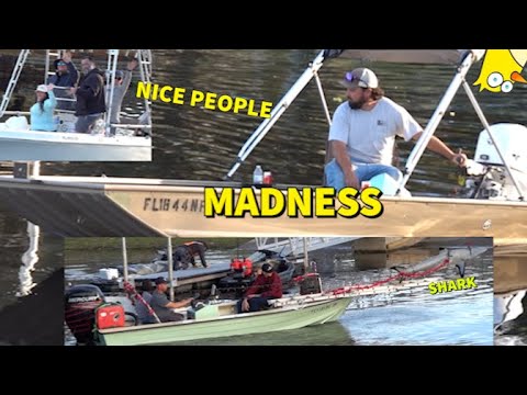 Selvaggio alla rampa delle barche Non si sa mai che sia arrivata una barca dall'aspetto strano, sì