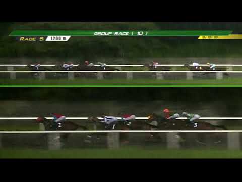 PRCI Race 5 - September 19, 2019