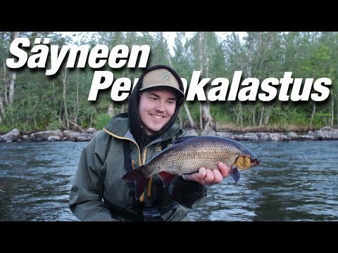 Säyneen perhokalastus | Koskireissu 2019 2/4