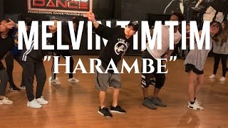 Harambe Dumbfoundead  | Chapkis Dance | Melvin Timtim