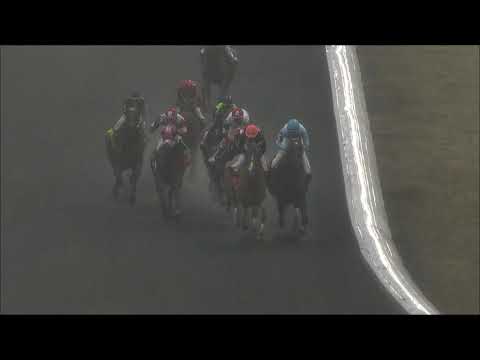 The Kentucky Cup Classic at Turfway Park (Extended Footage) | March 9 2019