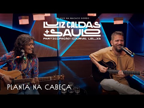 Luiz Caldas E Saulo - Planta Na Cabeça (Ao Vivo na Macaco Gordo)