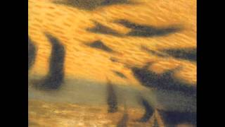 Ron Miles - Woman's Day