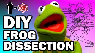 DIY DISSECTION - Man Vs Science #7