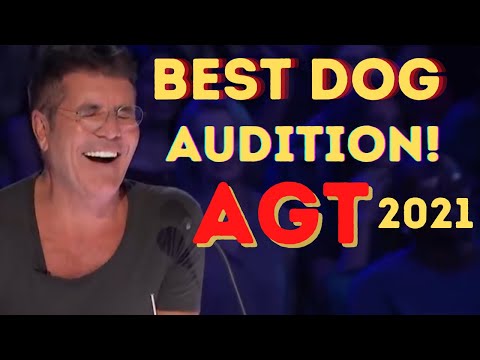 singing dog casper agt 2021 SHOCK ALL JUDGES Ang Gets Standing Ovation!WOW!