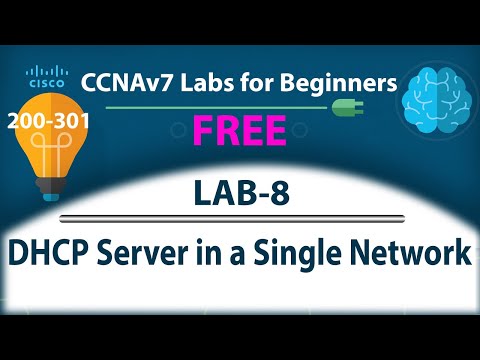 CCNA Lab: DHCP Server Configuration in One Network | Free CCNA 200-301 Course - Lab 8