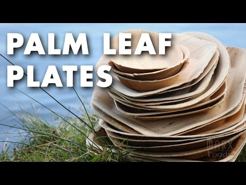 Palm leaf plates product review