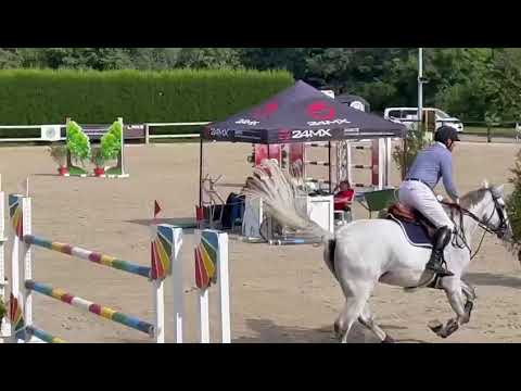 TINKERBEL DU MAILLET Z  1