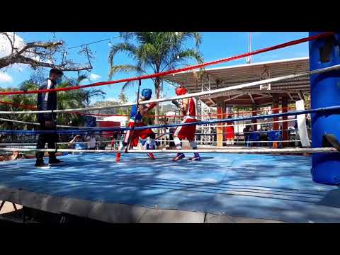exhibición de boxeo olímpico