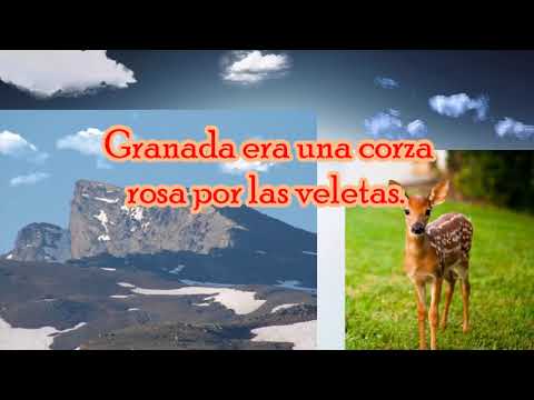 GACELA DEL AMOR QUE NO SE DEJA VER