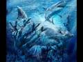 Ocean Dreams 