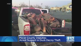Theft Victim Finds Their Duck Decoys For Sale On Craigslist, Arranges Meeting With Suspect