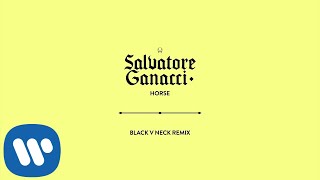 Salvatore Ganacci  - Horse (Black V Neck Remix) [Official Audio]
