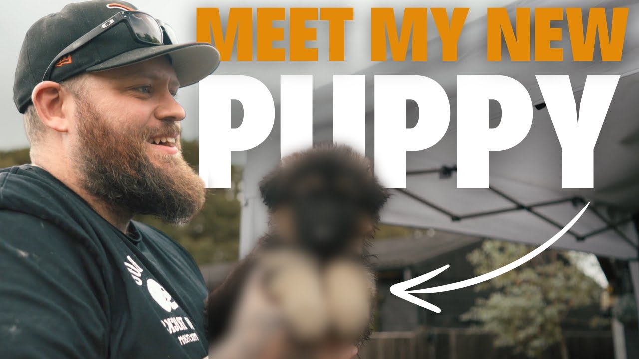 I'm Getting A NEW PUPPY! But What Breed Did I Choose......