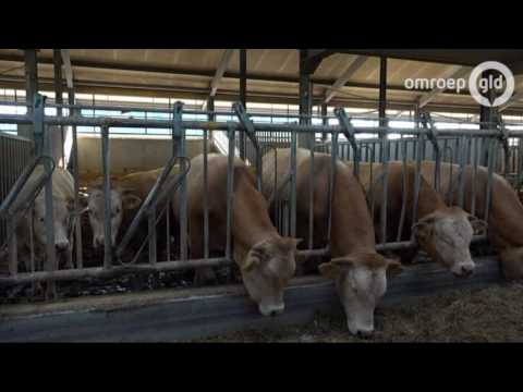 GLD VANDAAG 10 oktober 2016