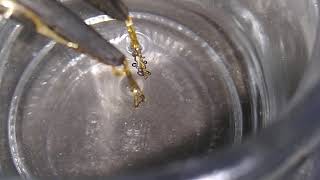 MY PREVIEW: GOLD ETERNAL DIVINE SPIRITUAL LIGHT WATER 🙏 ❤️