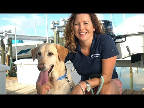 5 Tips For Boating With Your Pet