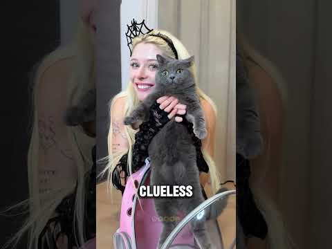 Her Boyfriend Cat Died—So Her Mom Brought Home a Replacement 😳😿