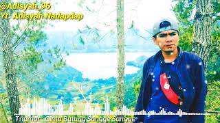 Download lagu Triamor : Cinta Bulung Sangge-sangge - Cover music video mp3