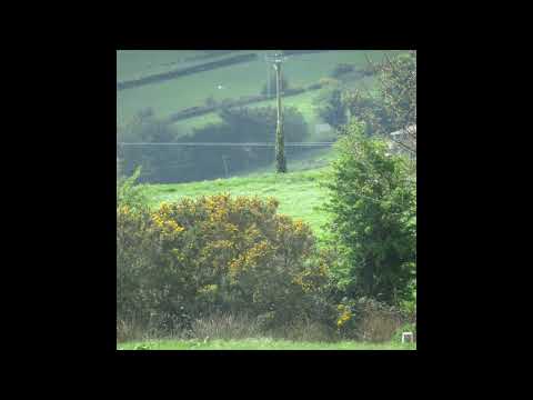 [FREE] ambient sewerperson x killedmyself x skele x nothing, nowhere. type beat - the rest of me.