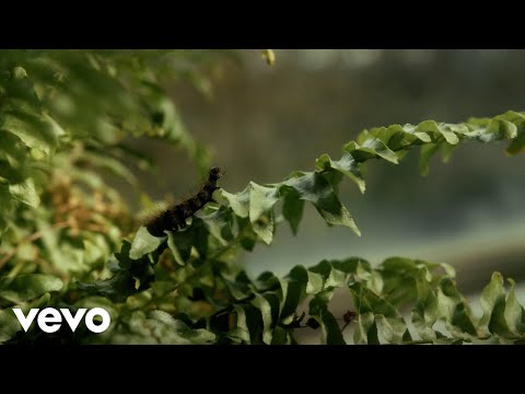Video thumbnail for Love