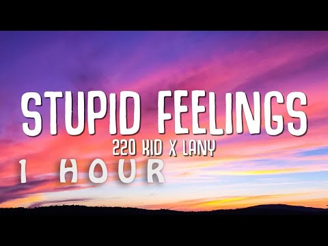 [1 HOUR 🕐 ] 220 KID x LANY - Stupid Feelings (Lyrics)