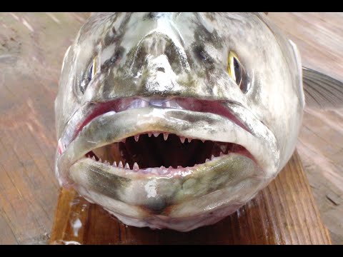 Top 5 Tips To Find Great Fishing Spots