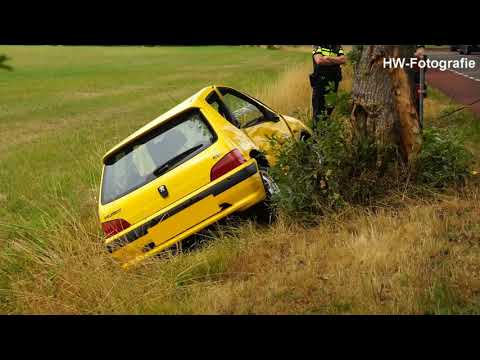 Auto tegen boom op Welsummerweg in Dalfsen